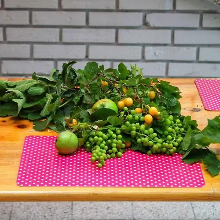 4-bedroom In - Crikvenica Riviera 15315 Σπίτι διακοπών